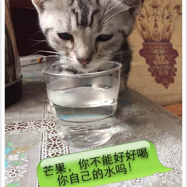 怎么买圣约翰学院文凭
